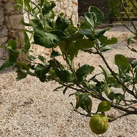 וילה Luxurious At A Unique Spot